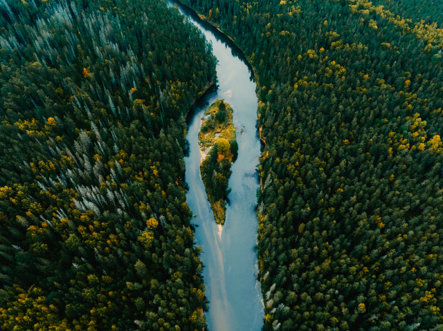 Slingrande flod genom en tät skog med en liten ö i mitten, sett ovanifrån
